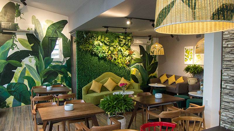 Quán cafe phong cách nhiệt đới thường sử dụng nhiều cây xanh